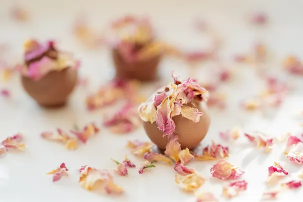 Казино Сън Палас Android/iOS приложение